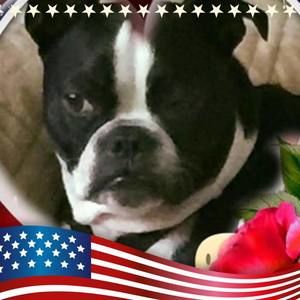 Meet your Posher, Sharon